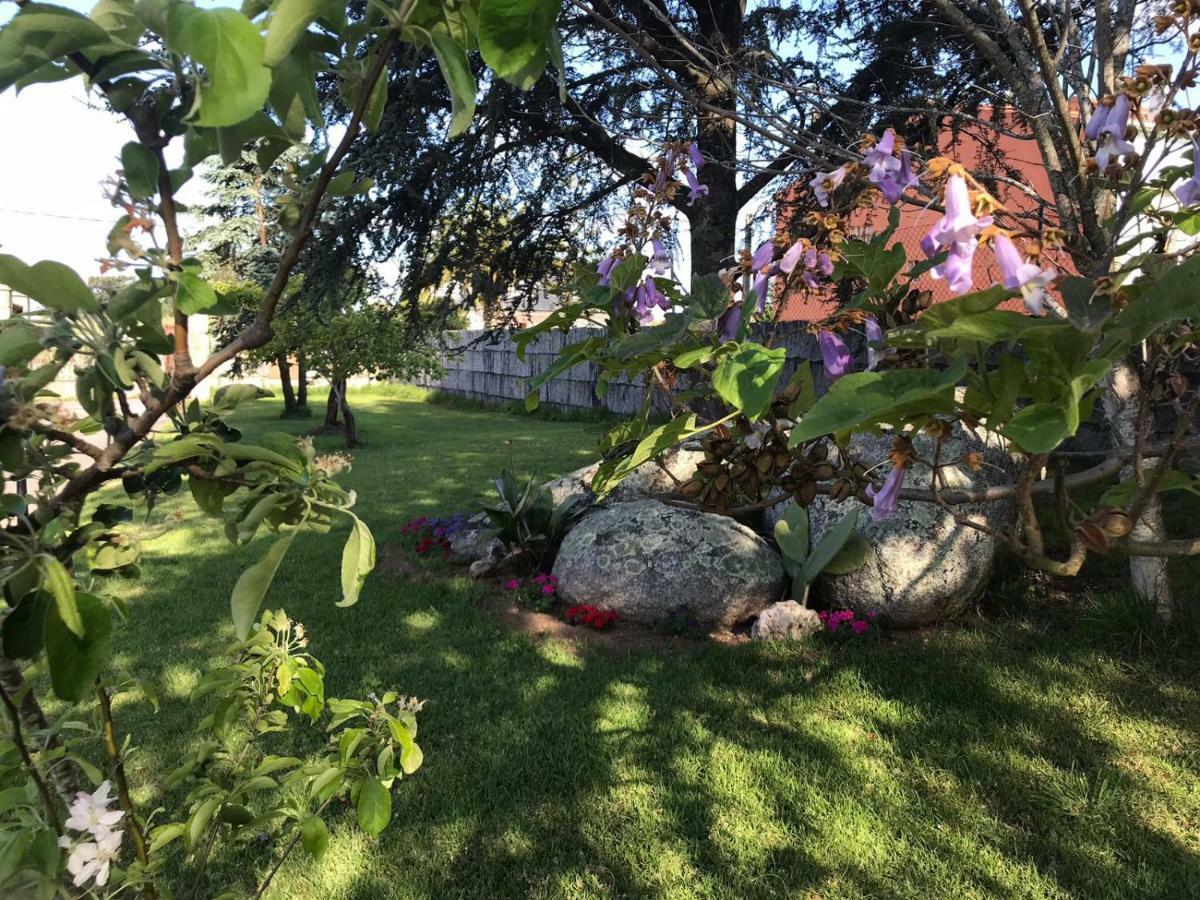 Villa Las Camelias Villanueva De Arosa Dış mekan fotoğraf